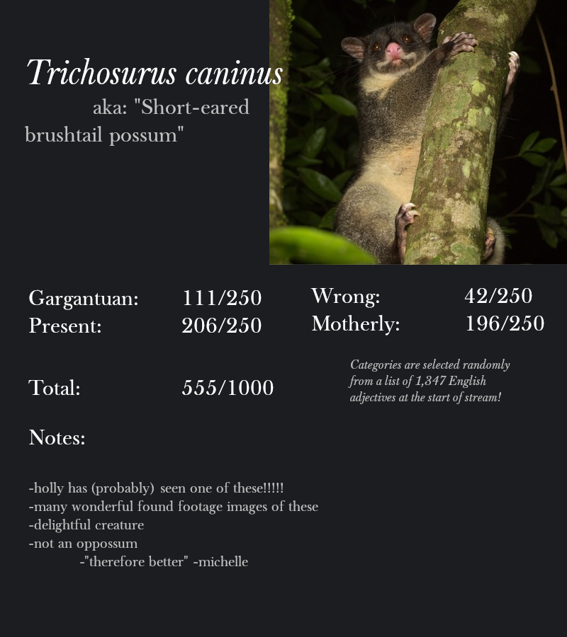 Trichosurus caninus